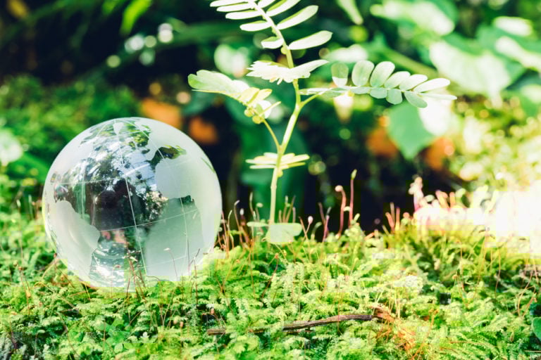 top-10-grant-opportunities-for-nonprofits-in-california-fundsforngos