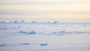 Vast icy Arctic landscape under a pale sky.